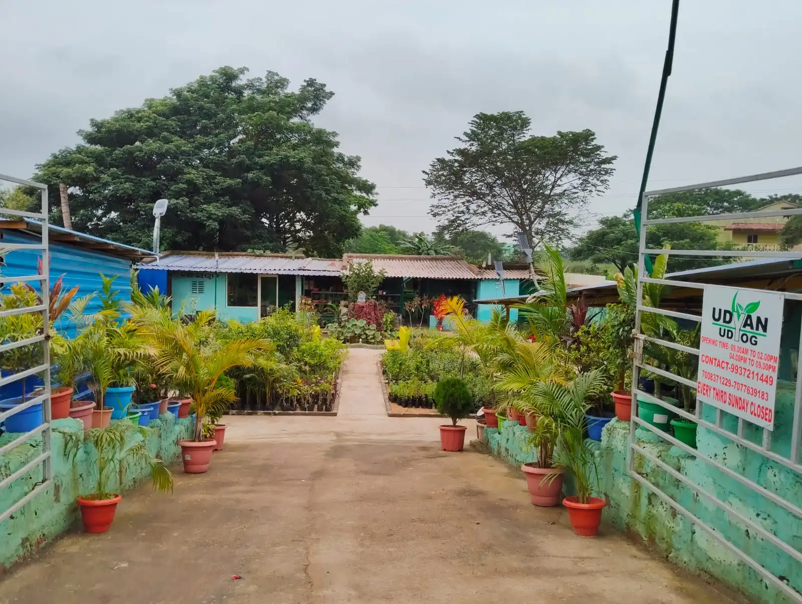 Udyan Udyog Team at the Nursery